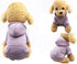 Jecikelon Winter Dog Hoodie Sweatshirts with Pockets Warm Dog Clothes for Small Dogs Chihuahua Coat Clothing Puppy Cat Custume (X-Small, Purple)...