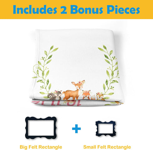 Woodland Animals Baby Stuff, Baby Month Blanket for Newborn Photo Taken - Baby Age Blanket with 2 Frame B34-1...