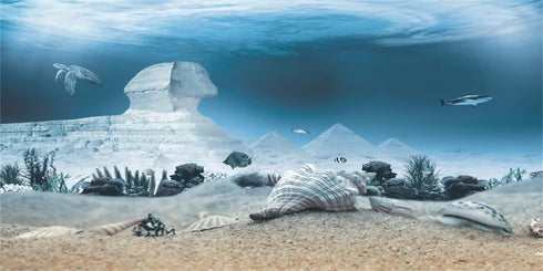 AWERT 48x24 inches Egyptian Pyramid Aquarium Background Egypt and Sphinx Underwater World Antique Architecture Fish Tank Background Vinyl Backgrou...
