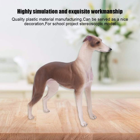 Greyhound Model, Plastic Material Simulation Greyhound , Teaching Tool Smoothing for...