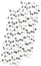 Dog Theme Paw Print Paper Drinking Straws - Black White - 7.75 inches - 50 Pack - Outside The Box Papers Brand...