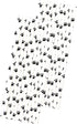 Dog Theme Paw Print Paper Drinking Straws - Black White - 7.75 inches - 50 Pack - Outside The Box Papers Brand...