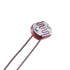 EBOOT 30 Pieces Photoresistor Photo Light Sensitive Resistor Light Dependent Resistor 5 mm (5539)...