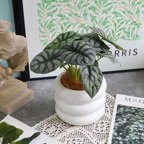 Ceramic Plant Pot Indoor, 4.5 Inch Flower Pot with Drainage Hole, Small Bubble Design Ceramic Planter for Home & Office Decor (White)...