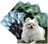 3dRose CST_4167_3 Pomeranian Ceramic Tile Coasters, Set of 4...