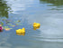 Floating Resin Duck Figurine Pond Décor Garden Lawn Patio Outdoor Statue Yellow (Set of 2)...