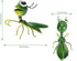 Lewondr Insect Metal Wall Art, 3D Locust Metal Wall Sculpture, Hanging Outdoor Wall Decor Fence Decoration for Garden, Yard, Patio, Indoor Home, S...