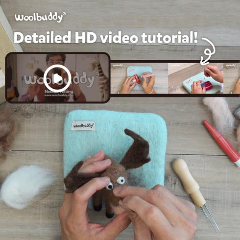 Woolbuddy Needle Felting Kit for Beginners Adults, Penguin Sea Animal Project, Includes Supplies, Two Needles, and Clear Instructions for Creative...