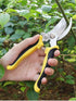 SZHDX Garden Shears Set - 2pcs Mini Precision Garden Pruners (Flower Shears + Bypass Pruners) 8" Garden Shears, and 7.5" SK-5 Stainless Steel Blad...