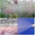 Brass Misting Nozzle, 10 Pack High Pressure Spray Misting Nozzle 10/24 UNC Outdoor Anti-drip Fogging Spray Head Misting System Nozzle for Landscap...