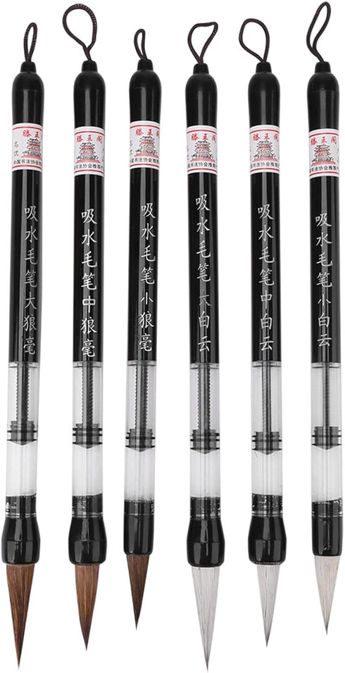 6 Pcs/Set Water Brush Pen, Piston Water Color Brush Chinese Japanese Calligraphy Pen for Beginner Painting Reusable Brush Drawing Pen Art Supplies...