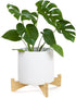 Short Bamboo Plant Stand, Single Floor Flower Planter Stand, Outdoor Clearance Plant Holders Indoor Stand, Mid Century Modern Plant Stand Riser Sh...
