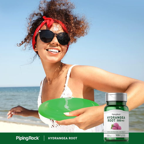 Piping Rock Hydrangea Root Capsules 500mg | 100 Count | Concentrated Extract Supplement | Non-GMO, Gluten Free...
