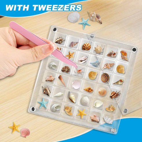 36 Grids Acrylic Magnetic Seashell Display Box, Advantageouse Acrylic Magnetic Seashell Display Box, Clear Seashell Storage Box, for Bead, Nail, J...