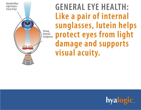 Hyalogic HylaVision Eye Health Supplement - Hyaluronic Acid, Lutein and Zeaxanthin Supplements – Contains Eye Vitamins A, C, E, and Zinc – Soothe ...