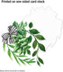 Schoolgirl Style Simply Boho 12-Piece Extra Large Greenery Bulletin Board Cutouts, Greenery Leaves with Black and White Bows Cutouts for Bulletin ...