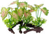 Smoothedo-Pets Aquarium Plants Fish Tank Decorations 2pcs Plastic Artificial Plant Goldfish Waterscape Fish Hides (Rainforest Leaf-Pink-Small-Set)...