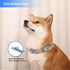 Dog Collar Metal Buckle Pet Collar, Cute Colors Cat Collar, Adjustable Breathable Soft Suitable for Small Medium Large and Boy Girl Dogs (Medium, ...