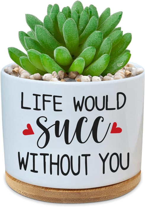 Funny Ceramic Plant Succulent Planter Pot - Life Would SUCC Without You White Mini Cactus Plant Office Garden Decor for Teacher, Coworker, Firends...