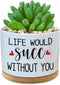 Funny Ceramic Plant Succulent Planter Pot - Life Would SUCC Without You White Mini Cactus Plant Office Garden Decor for Teacher, Coworker, Firends...