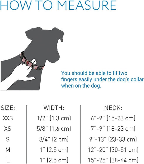 RC Pets 1 Inch Adjustable Dog Clip Collar, Large, Watermelon...