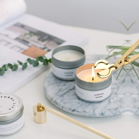 Candle Wick Trimmer, Polished Stainless Steel Wick Clipper Cutter, Reaches Deep Into Candles to Cut Spent Wicks, Gold...