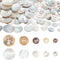 PH PandaHall 100pcs Natural Shell Buttons, 2-Hole Sewing Buttons 10/12/15/20/25mm Round Shell Buttons Craft Seashell Buttons for Cloth Coats Suits...