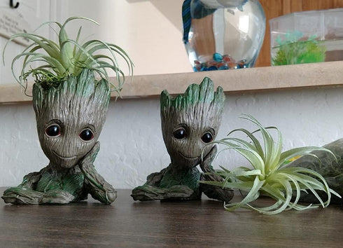 Artificial Air Plants Faux Succulents Plants Unpotted Small Tillandsia Look Real in Flocked Green Premium Crafting DIY Floral Decor for Home Garde...