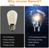 Banord 15 Pack Dimmable 2W S14 Replacement LED Bulbs, 2700K Warm White Waterproof Outdoor String Lights Vintage LED Filament Bulb, Shatterproof E2...