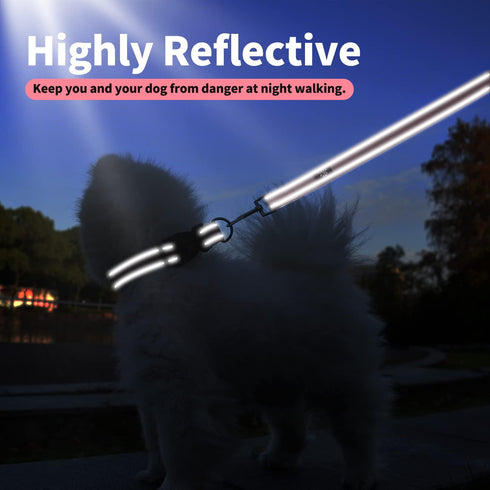 IVY&LANE Reflective Dog Collar and Leash Set,Adjustable Neoprene Padded Dog Collars for Puppy, Breathable Nylon Pet Collar for Small Medium Large ...