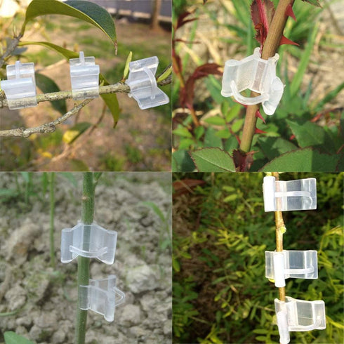 Teensery 100 Pcs Plastic Plant Grafting Clips Vegetables Flower Fruits Vine Grow Upright Clip Mini Gardening Tools...