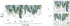 Tropical Leaves Wall Decals Removable Jungle Green Palms Tree Plant Wall Stickers for Living Room Kids Room Bedroom Playroom Decor...