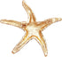 Rosemarie & Jubalee Women's Mermaid Chic Glittering Gold Tone Crystal Rhinestone Starfish Brooch Pin, 2"...