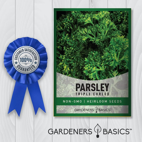 Gardeners Basics, Curled Parsley Seeds for Planting Indoors and Outdoors Heirloom, Open-Pollinated, Non-GMO Curly Herb Variety- Great for Home Gar...