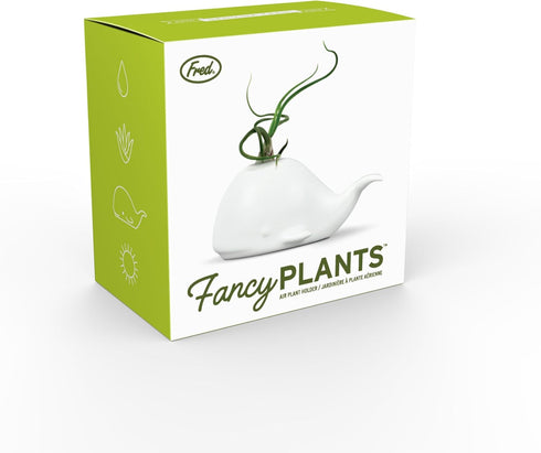 Fred 5229116 Fancy Ceramic Mini Air Plant/Succulent Holder, regular, Whale...