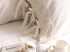 One Piece White Wide Crochet Lace 100% Cotton Pillowcase 14 (King 20"x36")...