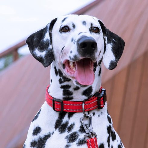 EXCELLENT ELITE SPANKER Reflective Dog Collar Classic Soft Padded Breathable Nylon Adjustable Pet Collar with Quick Release Buckle for Boy Girl Ma...
