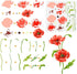 FINGERINSPIRE Layered Poppy Flower Painting Stencil 11.8x11.8 inch Reusable Poppy Wildflower Drawing Template DIY Craft Plant Floral Decoration St...