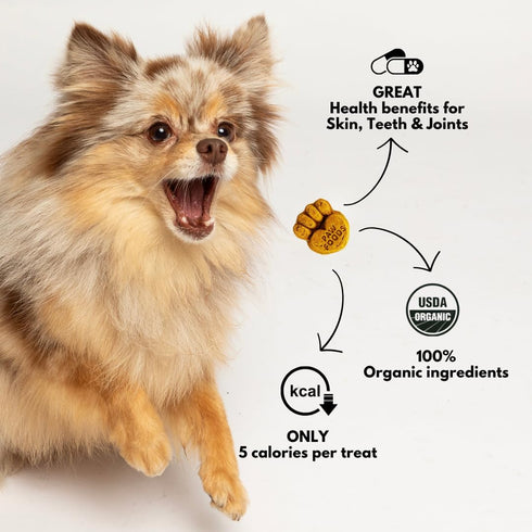 Treats Fruity Paws - Organic Dog Treats Healthy, Low Calorie Puppy Treats for Joint and Hip Support, Tasty Natural Treats for All Dogs, Only 5 Cal...
