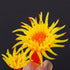 1PCS Artificial Aquarium Plants, Simulation Silicone Aquarium Ornament Artificial Coral Sea Tree Aquarium Fish Tank Landscaping Decoration...