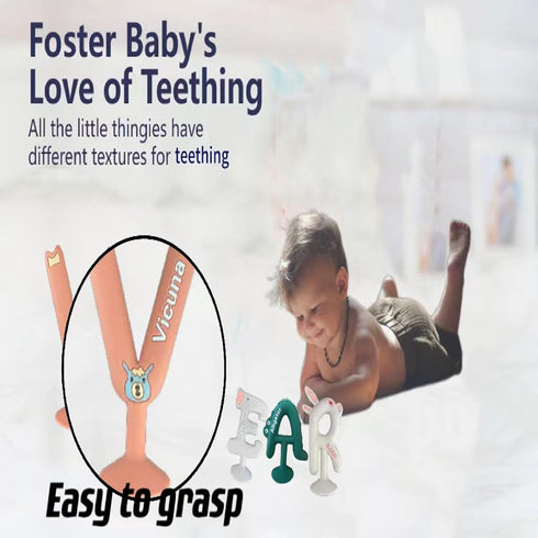 Baby Sensory Teether Toys?BRAVE Teething Toys for 6-12 Month olds?Silicone Alphabet Teether?Relief of Gum Pain...