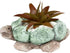 Plant Pot, Turtle Cement Flower Pot Unique Cute, Succulent Cactus Gift Planter with Drainage Hole, Decorative Novelty Planter Container...