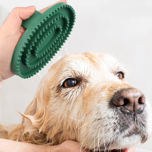4 Pack Dog Grooming Brush Bath Washing Massage Brush with Handle Pet Shower & Bath Tools for Short & Long Haired Dogs and Cats...