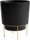 Bloem Hopson Round Planter with Gold Metal Stand: 6" - Black - Durable Plastic Pot, Powder Coated Removable Stand, for Indoor and Outdoor Use, Gar...