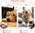 AUSCAT Dog Chew Squeaky Toy Ball, Dog Toy for Aggressive Chewers, Rugby Shape Rubber Chew Ball with Squeaker, Interactive Dog Ball for Fetch Game ...