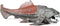 Fantarea Sea Animal World Animal Figures Desktop Decoration Imitation Ornament Animal Model Toys Gifts for Kid Children (Dunkleosteus)...