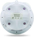 Extra Large Shower Clock with Suction Cups, Date and Temperature, Water Resistant Clock for Bathroom...