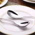 AOOSY 6-Piece Heavy Weight Soup Spoons,Stainless Steel Asian Soup Spoon with Ergonomic Short Handle for Ramen, Curry, Cereals...