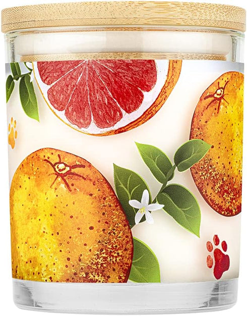 One Fur All Citrus Candle 9 OZ Plant-Based Soy Candle, Clean Burning and Long Lasting Air Freshener with a 60 Hour Burn Time - Ruby Red Grapefruit...