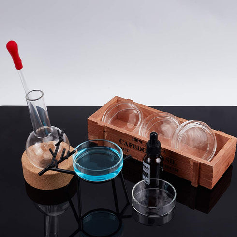 OLYCRAFT 6PCS Glass Petri Dishes High Borosilicate Glass Bacterial Culture Dishes with Lid 60mm Dia x 18mm Deep with 2pcs Glass Culture Plate for ...